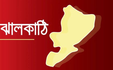 ঝালকাঠিতে গাছ থেকে পড়ে দিনমজুরের মৃত্যু