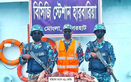 মোংলায় কোস্টগার্ডের অভিযানে হরিণের মাংস জব্দ