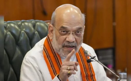 পাকিস্তানিদের শনাক্ত করে ফেরত পাঠান : অমিত শাহ