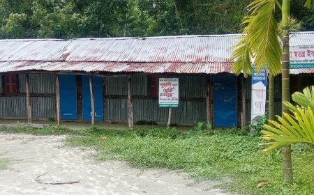 সরকারি অনুদানপ্রাপ্ত হলেও অচল অবস্থায় সরমহল ফয়জিয়া ইবতেদায়ী মাদ্রাসা