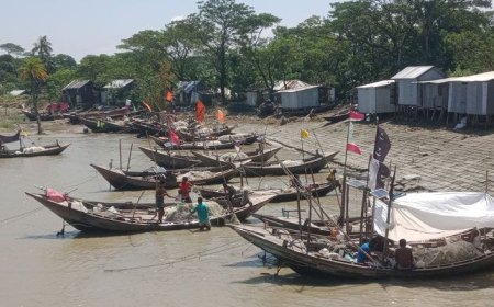 ভোলায় মিলছে না কাঙ্ক্ষিত ইলিশ, হতাশ জেলেরা