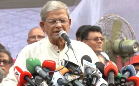 গণতন্ত্রে যাওয়ার ওপরে বাংলাদেশের অস্তিত্ব নির্ভর করছে : মির্জা ফখরুল