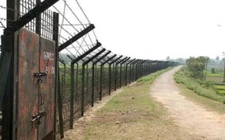 ঠাকুরগাঁও সীমান্তে বিএসএফের হাতে ৩ বাংলাদেশি আটক