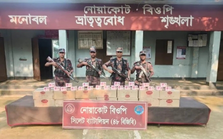 সীমান্ত এলাকায় অভিযানে আড়াই কোটি টাকার চোরাই পণ্য জব্দ