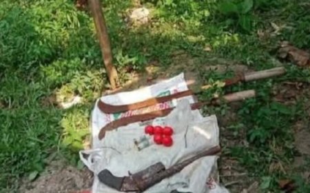 আশুলিয়ার জামগড়া এলাকা থেকে পরিত্যক্ত অবস্থায় অস্ত্র উদ্ধার