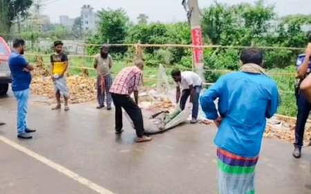 সাভারে পৃথক স্থান থেকে ২ অজ্ঞাত ব্যক্তির লাশ উদ্ধার