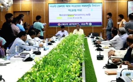২২ মে থেকে বাজারে আসছে নওগাঁর আম