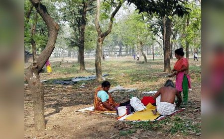 সন্ধ্যা হলেই মাদকের অভয়ারণ্য রাজধানীর সোহরাওয়ার্দী উদ্যান