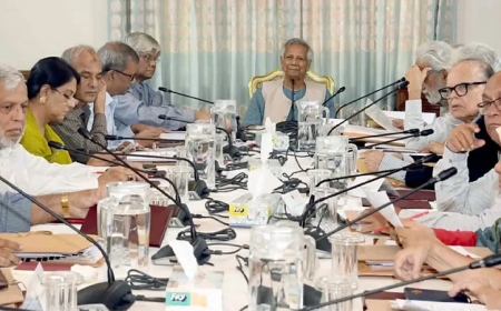 অন্তর্বর্তী সরকারের কার্যক্রমে বাধার বিষয়ে উপদেষ্টা পরিষদের বিবৃতি