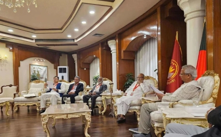 প্রধান উপদেষ্টার সঙ্গে বৈঠকে বিএনপির ৪ সদস্যের প্রতিনিধি দল