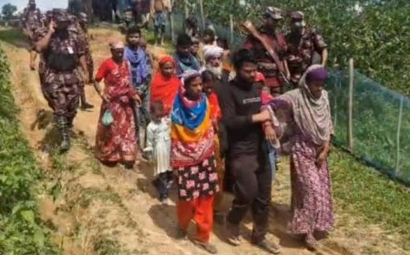 চুনারুঘাট সীমান্তে ১৯ নারী-পুরুষকে পুশইন করল বিএসএফ