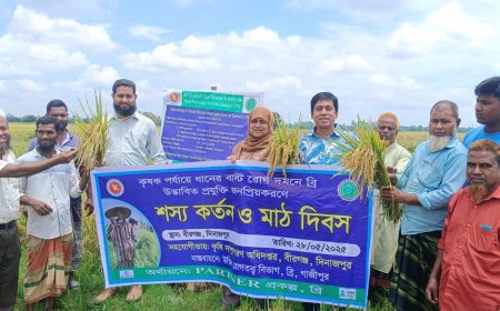 বীরগঞ্জে শস্য কর্তন ও মাঠ দিবস অনুষ্ঠিত