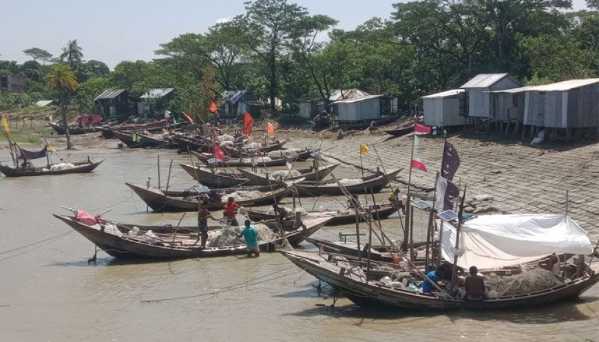 ভোলায় মিলছে না কাঙ্ক্ষিত ইলিশ, হতাশ জেলেরা
