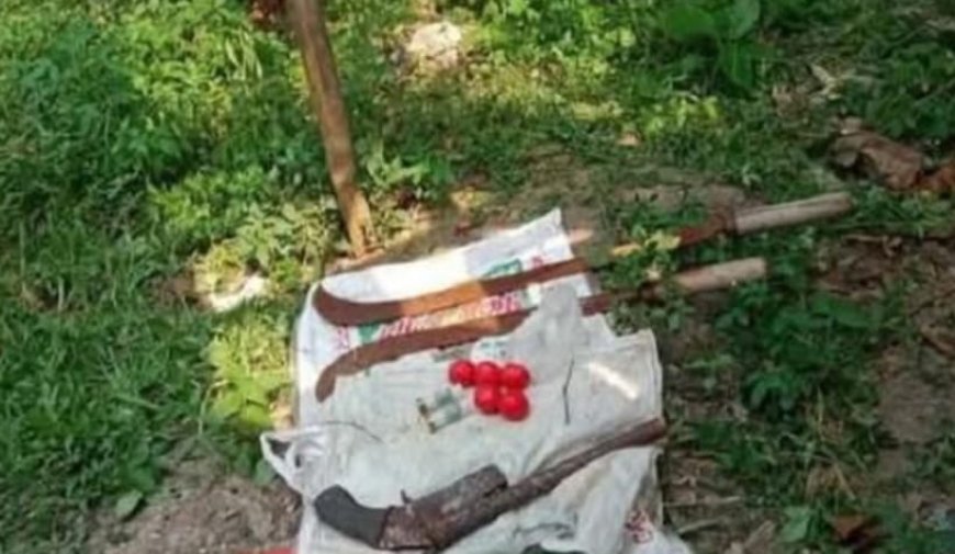 আশুলিয়ার জামগড়া এলাকা থেকে পরিত্যক্ত অবস্থায় অস্ত্র উদ্ধার