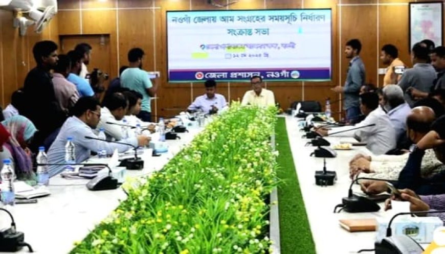 ২২ মে থেকে বাজারে আসছে নওগাঁর আম