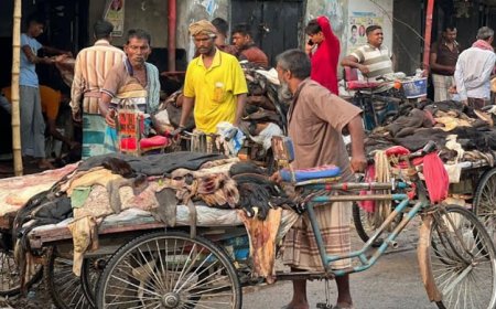 দেশের দ্বিতীয় বৃহত্তম আড়তে চামড়ার বাজারে অস্থিরতা, হতাশ মৌসুমী ব্যবসায়ীরা
