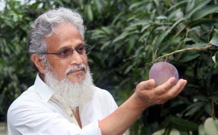 গ্রামবাসীর ভালোবাসায় শিক্ত ভেষজ বিজ্ঞানী বীর মুক্তিযোদ্ধা সৈয়দ টিপু সুলতান