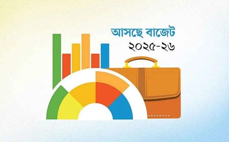 উপদেষ্টা পরিষদের বৈঠকে বাজেট অনুমোদন