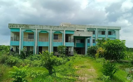 উদ্বোধনের চার বছরেও চালু হয়নি নগরকান্দা পৌর ভবন, পরিত্যক্ত ভবনে চলছে কার্যক্রম