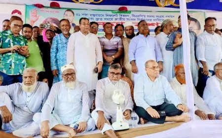 কালিয়াকৈরে নির্বাচনের দাবিতে বিএনপির সমাবেশ অনুষ্ঠিত