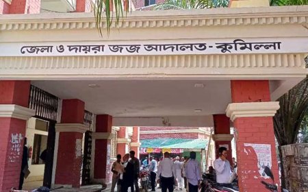 থানা পুলিশের নির্যাতনে বিএনপি কর্মীর মৃত্যু, মামলা নেয়নি আদালত