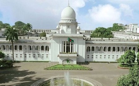 জুলাই শহীদদের কেন ‘জাতীয় বীর’ ঘোষণা নয়