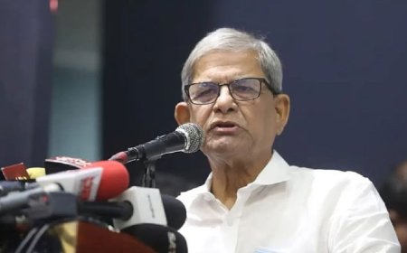 তারেক রহমানের বিরুদ্ধে যারা কথা বলে তারা গণতন্ত্রের শত্রু : মির্জা ফখরুল