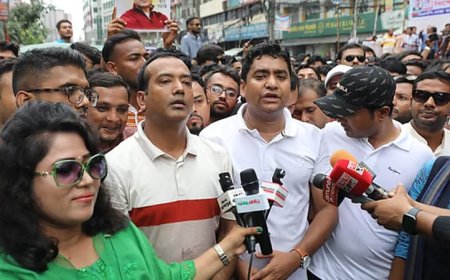 দেশের অরাজক পরিস্থিতি ও সন্ত্রাসী কর্মকাণ্ডের দায় অন্তর্বতী সরকারের : ছাত্রদল সভাপতি