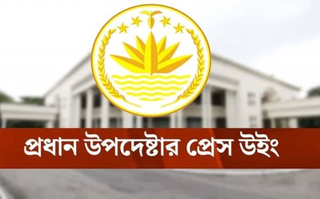 দেশে বড় ধরনের সহিংস অপরাধের সংখ্যা বাড়েনি : প্রধান উপদেষ্টার প্রেস উইং
