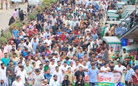 মব সৃষ্টির অপচেষ্টার প্রতিবাদে সিলেটে ছাত্রদলের বিক্ষোভ