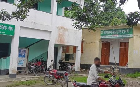 উল্লাপাড়ায় পরিত্যক্ত সরকারি ভবনে জামায়াতের কার্যক্রম