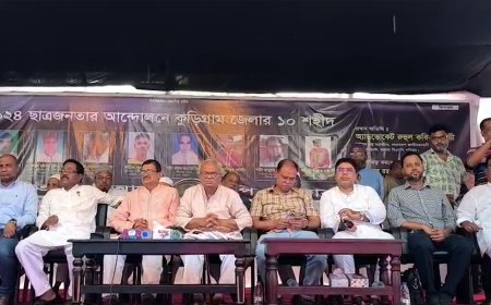 বিএনপির ১৬ বছরের আন্দোলনের পটভূমি চব্বিশের জুলাই : রিজভী