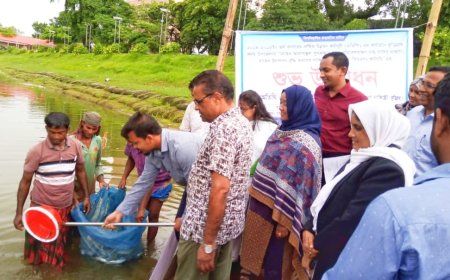 কুড়িগ্রামে মৎস্য চাষিদের মাঝে মাছের পোনা বিতরণ ও অবমুক্ত কর্মসূচি