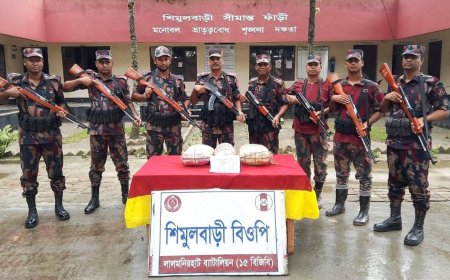 লালমনিরহাটে বিজিবির অভিযানে বিপুল পরিমাণ ভারতীয় মাদকদ্রব্য জব্দ