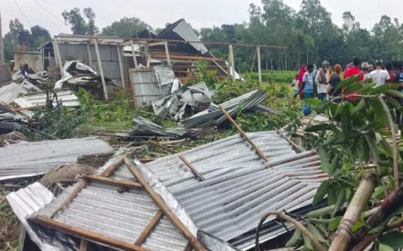 সিরাজগঞ্জে কয়েক মিনিটের টর্নেডোতে লণ্ডভণ্ড ৪ গ্রামের অর্ধশত বসতবাড়ি