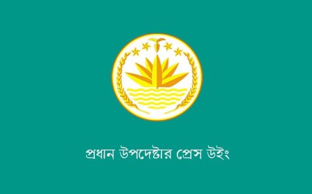 গোপালগঞ্জে এনসিপির সমাবেশে হামলা, সরকারের কঠোর বার্তা