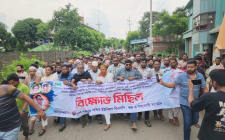 মুরাদনগরে প্রত্যেক ইউনিয়নে বিএনপির বিক্ষোভ, অপপ্রচারকারীদের বিরুদ্ধে হুশিয়ারী