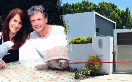 আমেরিকান আইডলের সঙ্গীত সুপারভাইজার ও তার স্বামীর গুলিবিদ্ধ মরদেহ উদ্ধার