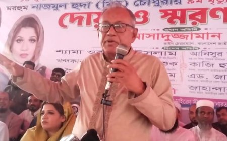 এনসিপির নেতাদের ওপর হামলাই প্রমাণ করে আ.লীগ সন্ত্রাসী দল : আসাদুজ্জামান রিপন