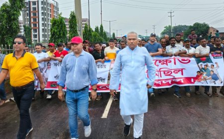 আইনশৃঙ্খলা পরিস্থিতি অবনতির প্রতিবাদে ঢাকা জেলা যুবদলের বিক্ষোভ মিছিল