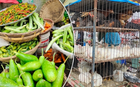 রাজধানীতে ৬০ টাকার কমে সবজি নেই, বেড়েছে মুরগির দাম