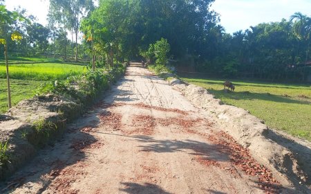 পঞ্চগড়ে ৯ মাসেও হয়নি প্রকল্পের অর্ধেক কাজ, তবুও বিল পাশ