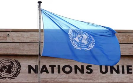 দেশে মানবাধিকার মিশনের কাজ কী হবে, বিজ্ঞপ্তিতে জানাল সরকার