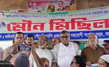 জুলাই শহীদদের স্মরণে কালিয়াকৈরে বিএনপির মৌন মিছিল