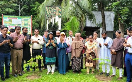 নবাবগঞ্জে জুলাই শহীদদের স্মরণে ‘এক শহীদ, এক বৃক্ষ’ কর্মসূচি