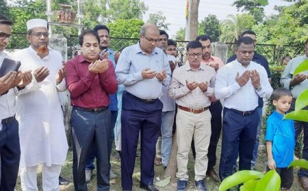 বাগেরহাটে জুলাই শহীদদের স্মরণে বৃক্ষরোপণ কর্মসূচি