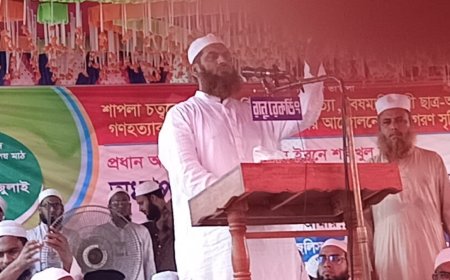 ফ্যাসিস্ট শেখ হাসিনা অর্থনীতিকে ধ্বংস করেছে : মামুনুল হক