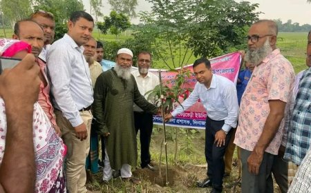 পরিবেশ রক্ষায় ব্যতিক্রমী উদ্যোগ, খানসামায় একদিনে ৪২ হাজার চারা রোপণ