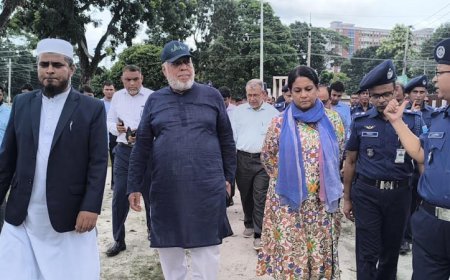 গোপালগঞ্জে ক্ষতিগ্রস্ত স্থানগুলো পরিদর্শনে দুই উপদেষ্টা