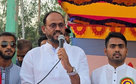দেশের জনগণ গণতন্ত্র চায়, ভোটের অধিকার চায় : সালউদ্দিন টুকু